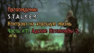 Прохождение S.T.A.L.K.E.R  Контракт на хорошую жизнь Часть 11  Адские катакомбы 2