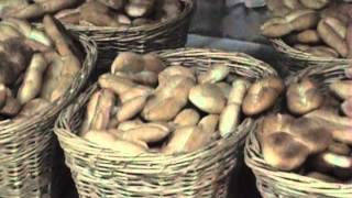 Documental Panaderia Los Pajaritos