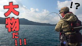 【五島列島】大物が沸きまくる離島堤防で再び怪物が・・・！【九州一周釣り旅】#10