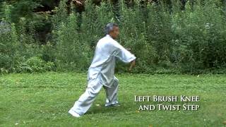 Volume 55 - Yang Jianhou Style Taijiquan - Part 1