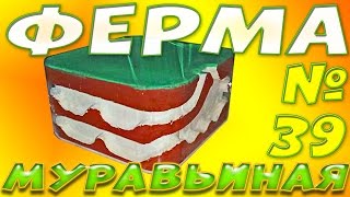 Как сделать муравьиную ферму своими руками из гипса и пищевого контейнера #2