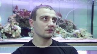 Жизнь акул в Ocean Plaza 2012