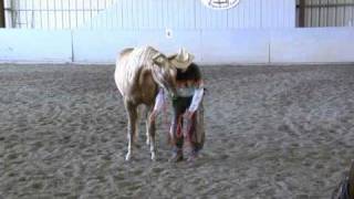 How to Teach a Horse to Bow