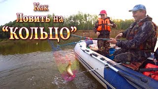 Как ЛОВИТЬ на Снасть КОЛЬЦО! Отличный КЛЁВ - Работает ЛИЧИНКА!