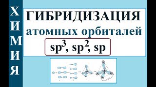 Органика. Виды гибридизации орбиталей (sp-, sp2-, sp3-гибридизация)