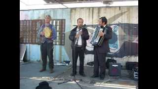 Epiros music live by NDSM treehouse, ams'dam