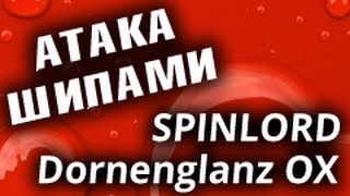 Атака длинными шипами SPINLORD Dornenglanz OX на основании SPINLORD Combi Carbon (настольный теннис)