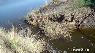 Прорыв дамбы на реке Камышловка, Омская область
