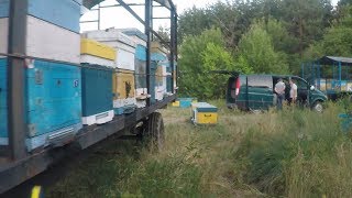 Как перевозить пчел Вентиляция улья