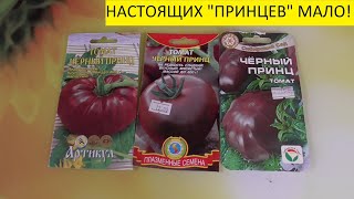 О ТОМАТЕ "ЧЕРНЫЙ ПРИНЦ". 