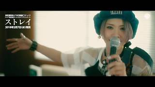 岸田教団&THE明星ロケッツ_ストレイ_MUSIC VIDEO_試聴映像