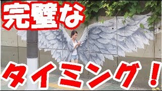 海外の反応　外国人が驚いた「完璧すぎるタイミングで撮影された写真を集めてみた！」