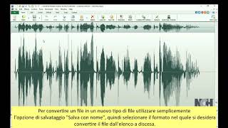 Salva e Converti IT