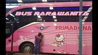 HELLO KITTY BUS !! PRIMADONA Bus parawanita Makasar
