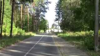 Обзор вырубок леса в Беларуси.