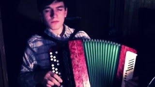 игра на баяне белые розы крутое исполнение)))56