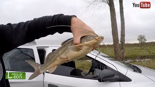 Pesca en Rio Paranacito sobre la ruta 12. Argentina ? videos de leon