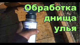 Чищу днище улья