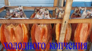 Рыба холодного копчения . в домашних условиях