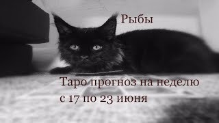 Таро прогноз на неделю. Рыбы