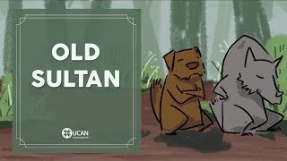 Learn English Listening | English Stories - 55. Old Sultan