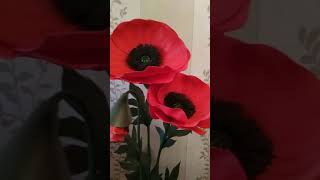 Маки из изолона