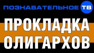 Прокладка олигархов (Познавательное ТВ, Николай Стариков)