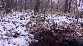 Коп монет на старой дороги. Разведка местности