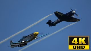 P-51 Mustang vs. Sea Fury - A Comparison