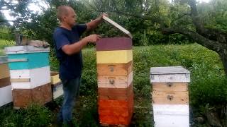 Результат работы Бакфаст Ф2 за сезон 2018