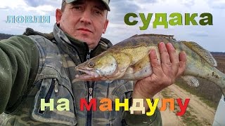 ЛОВЛЯ СУДАКА НА МАНДУЛУ