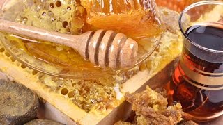Прополис: мазь и настойка, применение и лечение заболеваний