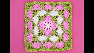 Crochet Square with stitch fans