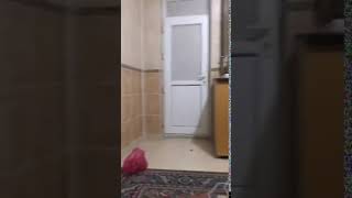 Elazığ'daki deprem böyle salladı... Görüntüler Malatya'dan