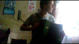 Александр Барыкин - Рыбка (кавер-пародия под гармонь)