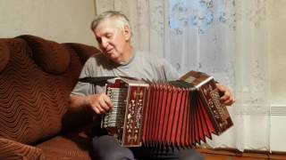 Досада | Гармонист Валерий Степанович