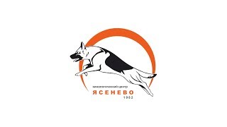 Урок послушания. Занятия в школе для собак. КЦ "Ясенево".
