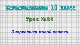 Естествознание 10 класс (Урок№24 - Энергетика живой клетки.)