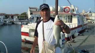 COLMIC SPIGOLE FRANCESI