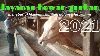 Jual hewan Qurban 2020 utk JABODETABEK dan Karawang TERMURAH