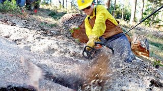 Amazing Chainsaw Trick