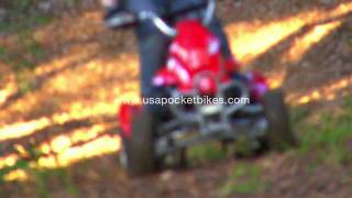 Pocket Bikes, Mini Bikes - Cobra S4 50cc Mini 4-Wheeler Quad