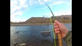 Flyfishing- Swinging flies for Steelhead and Salmon