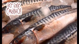 10 блюд из скумбрии. Часть 2 — Все буде смачно. Сезон 5. Выпуск 26 от 26.11.17