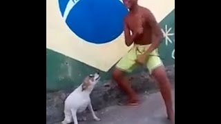 СОБАКА И МАЛЬЧИК ТАНЦУЮТ (Shooting stars+ TILL YOU'RE DEAD)