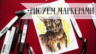 Как нарисовать кота маркерами / yjw to draw a cat with markers || itsmesokolovakate
