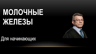 Развитие молочных желез