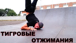 КАК Я УЧИЛСЯ ДЕЛАТЬ ТИГРОВЫЕ ОТЖИМАНИЯ ЗА 1 ДЕНЬ★