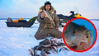 ЧУДО ЛУНКА! ??? Зимняя рыбалка 2018 на ОВХ.  Ловля окуня на чертика.