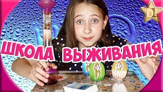 Весёлая ВИКТОРИНА ЧЕЛЛЕНДЖ. ШКОЛА ВЫЖИВАНИЯ - Эксперимент с водой в новой настольной игре